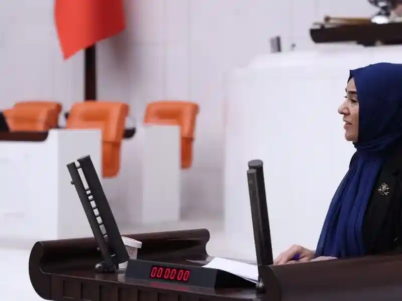 Van'ın Deprem Riskleri Meclis'te Tartışılıyor: Varlı'dan Bakan Kurum'a 25 Maddelik Soru Önergesi