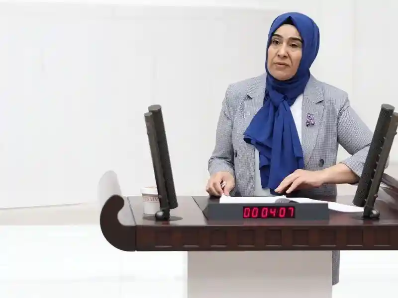 DEM Partili Varlı Depremi Meclis Gündemine Taşıdı: 25 Soruluk Önerge